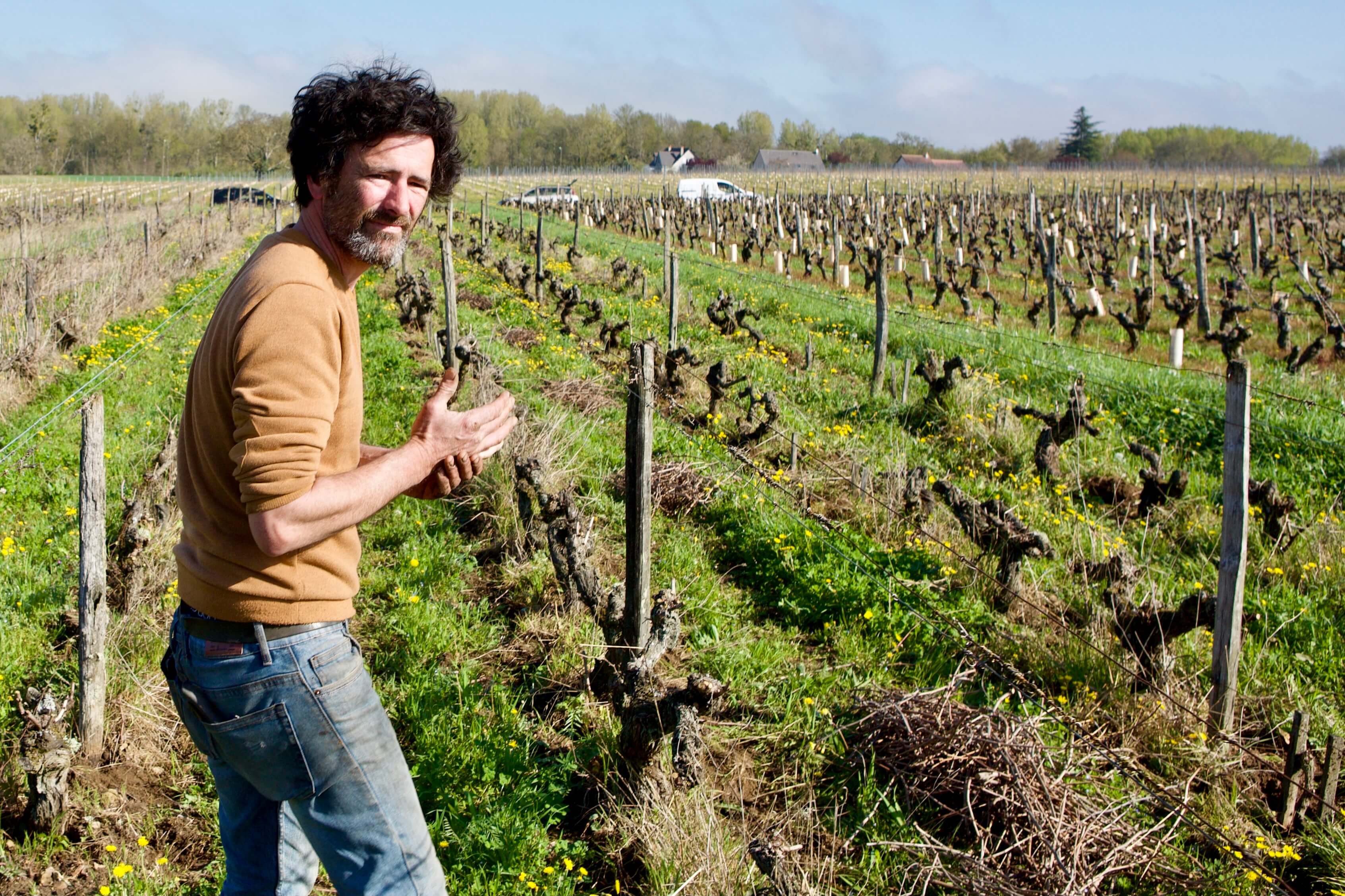 2020 Vin de France, Blanc 'Matin Midi et Soir'